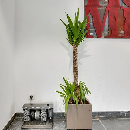 The Originals City, Memorial