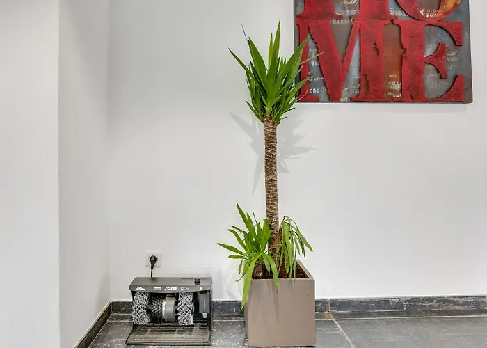 The Originals City, Memorial